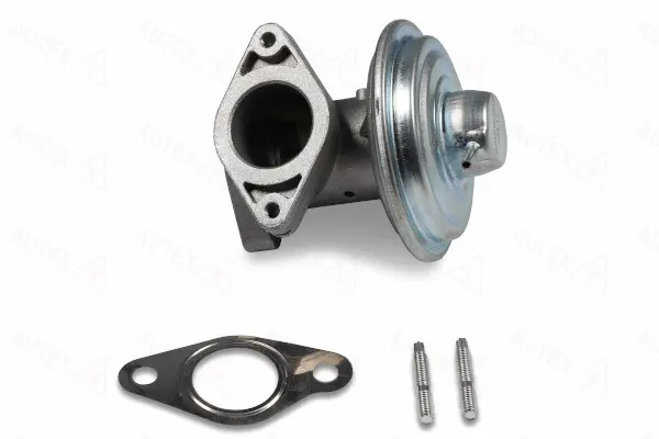 EGR Valve (959565)