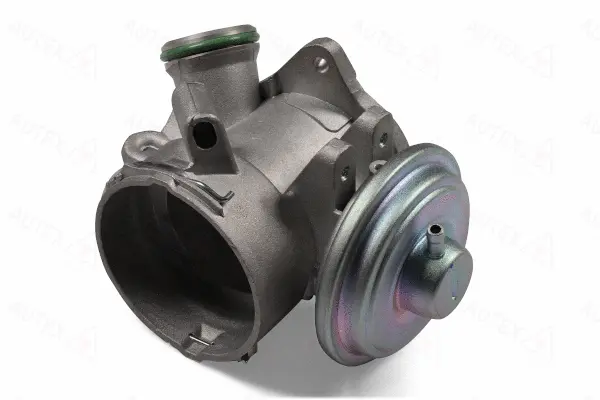 EGR Valve (959580)