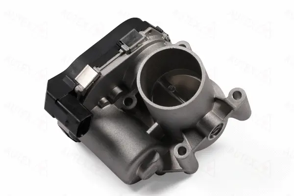 Throttle Body (961017)