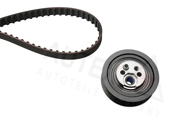 Timing Belt Kit (702061)