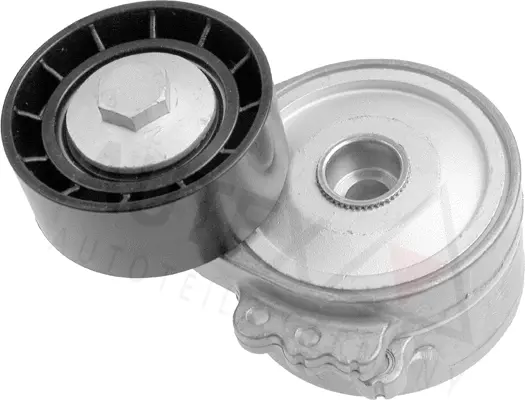 Belt Tensioner, V-ribbed belt (601580)