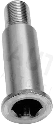 Bearing Journal, tensioner pulley lever (631665)