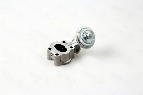 EGR Valve (959493)