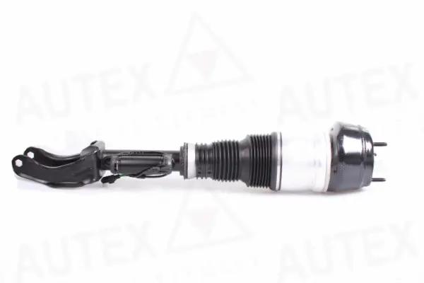 Air Spring, suspension (933034)