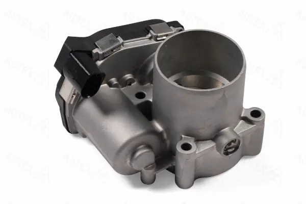 Throttle Body (961036)