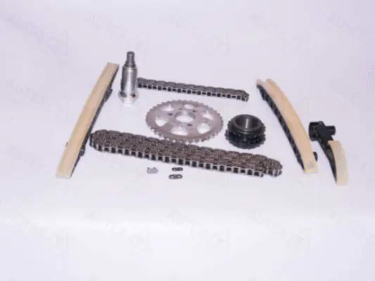 Timing Chain Kit (711055)