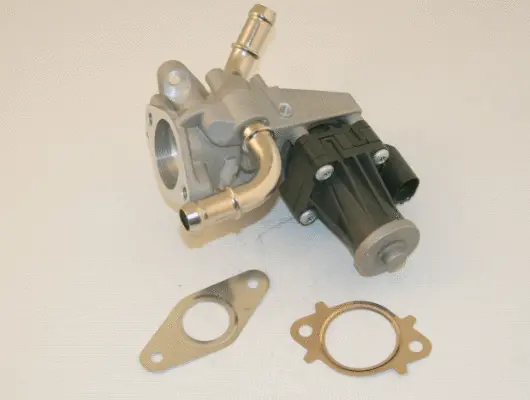 EGR Valve (959173)