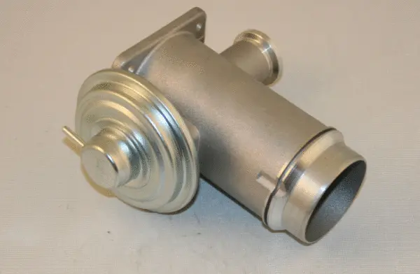 EGR Valve (959154)