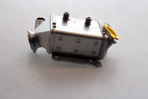 Cooler, exhaust gas recirculation (963056)