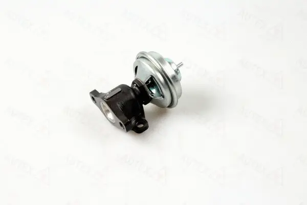 EGR Valve (959425)