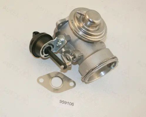 EGR Valve