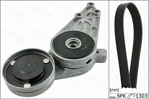 V-Ribbed Belt Set (702900)