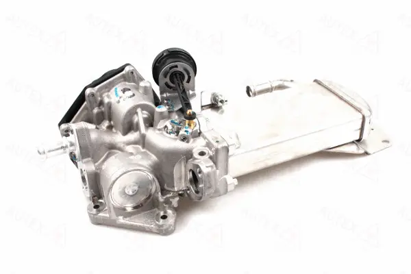 EGR Module (959362)