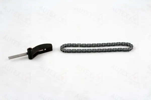Chain Kit, oil pump drive (711373)