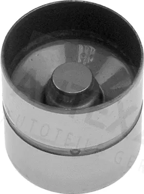 Tappet (955067)