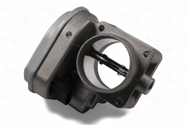 Throttle Body (961014)