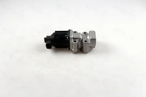 EGR Valve (959519)