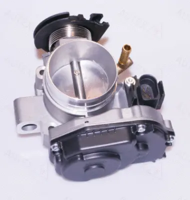 Throttle Body (961051)