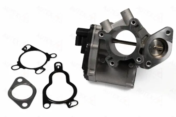 EGR Valve (959338)