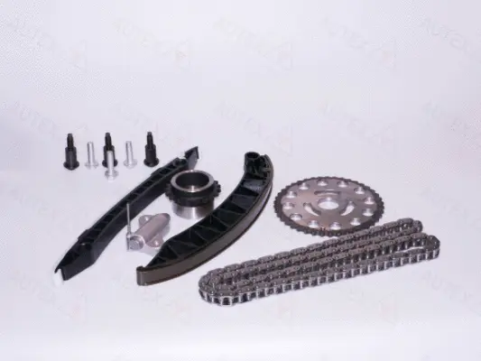 Timing Chain Kit (711081)