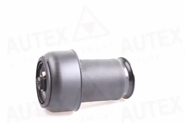 Air Spring, suspension (933069)