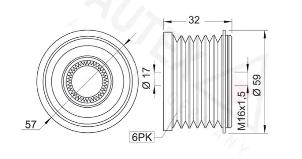Alternator Freewheel Clutch