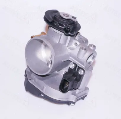 Throttle Body (961061)