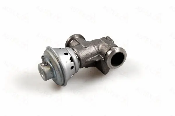 EGR Valve (959357)