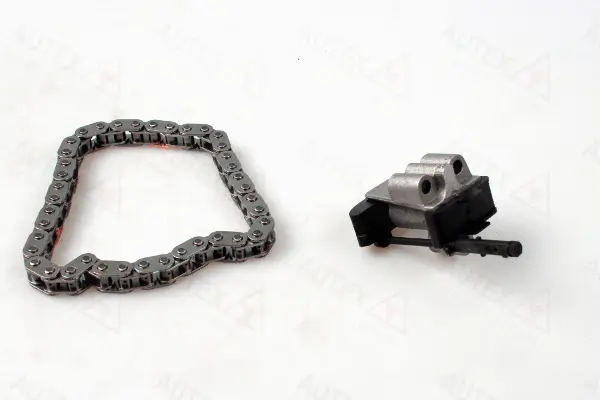 Timing Chain Kit (711261)