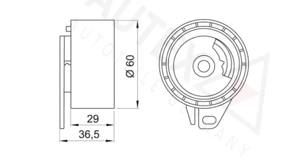 Tensioner Pulley, timing belt
