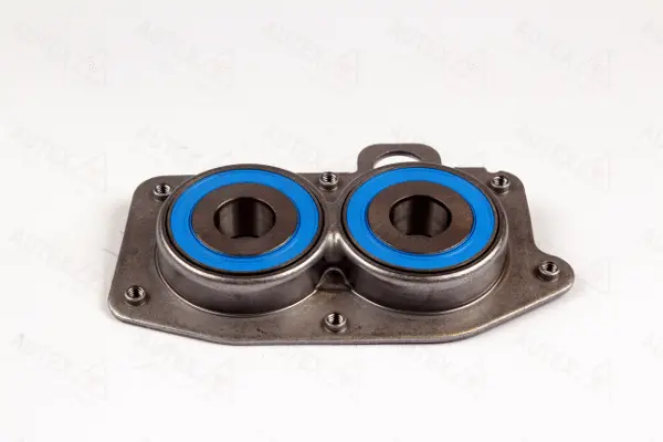 Bearing, manual transmission (844005)