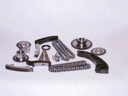 Timing Chain Kit (711389)