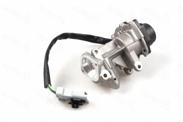 EGR Valve (959359)