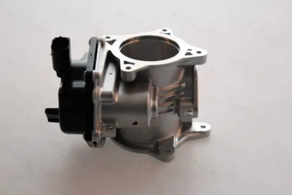 EGR Valve (959539)