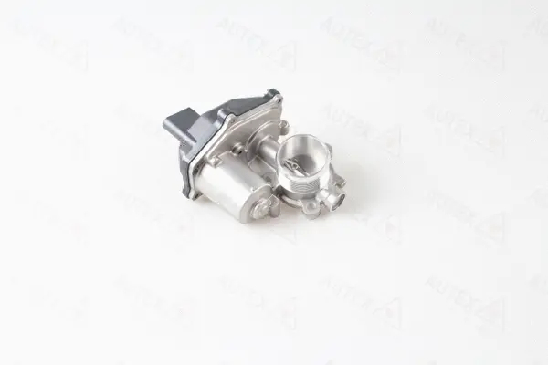 EGR Valve (959513)