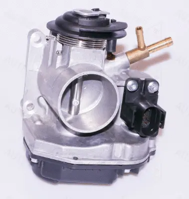 Throttle Body (961053)