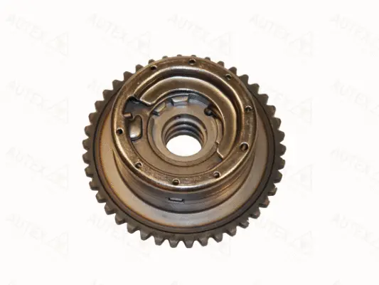 Camshaft Adjuster (718065)