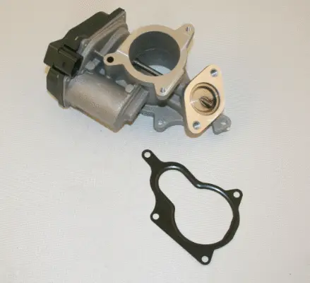 EGR Valve (959297)