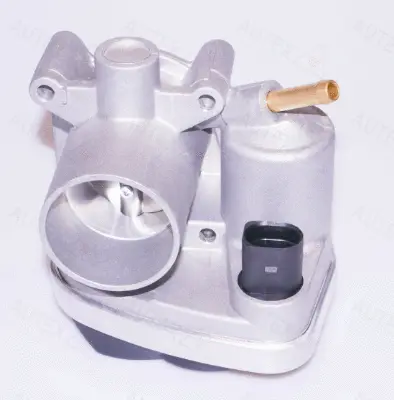 Throttle Body (961063)