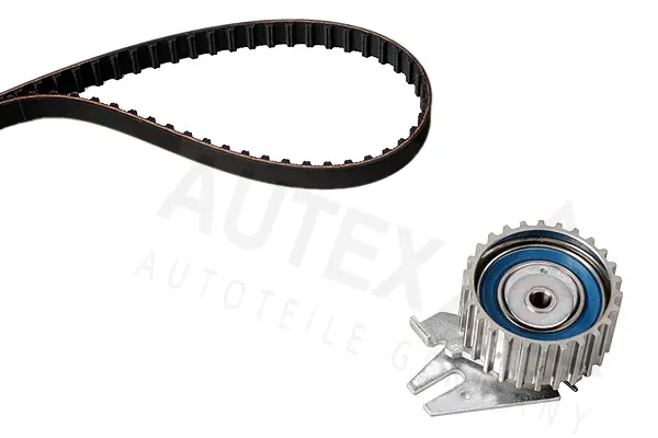 Timing Belt Kit (702119)