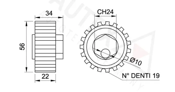 Tensioner Pulley, timing belt