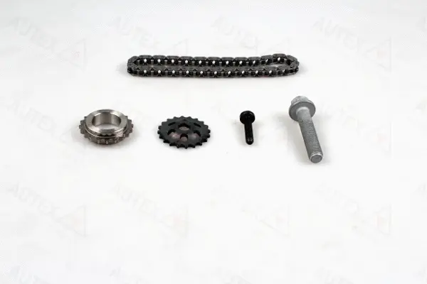 Chain Kit, oil pump drive (711381)