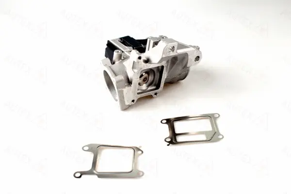 EGR Valve (959172)