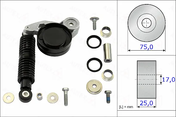 Repair Kit, v-ribbed belt tensioner (654867)