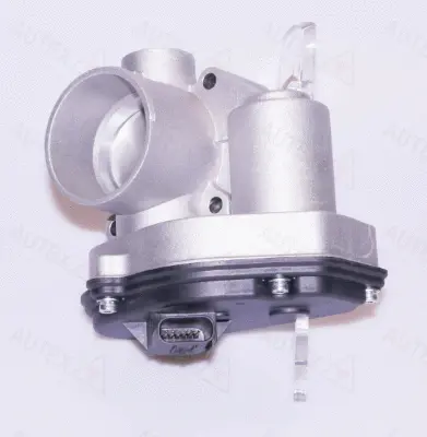 Throttle Body (961034)
