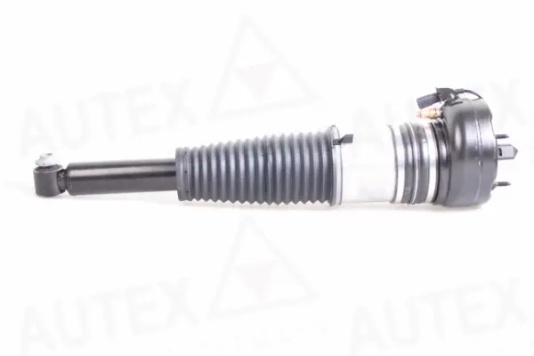 Air Spring, suspension (933018)