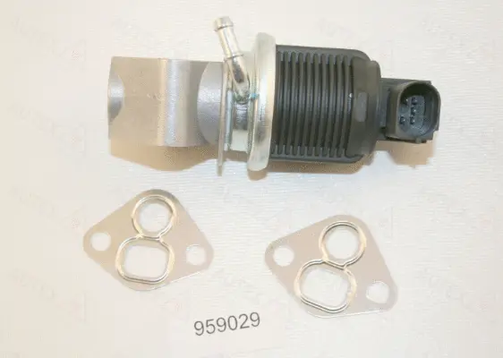 EGR Valve