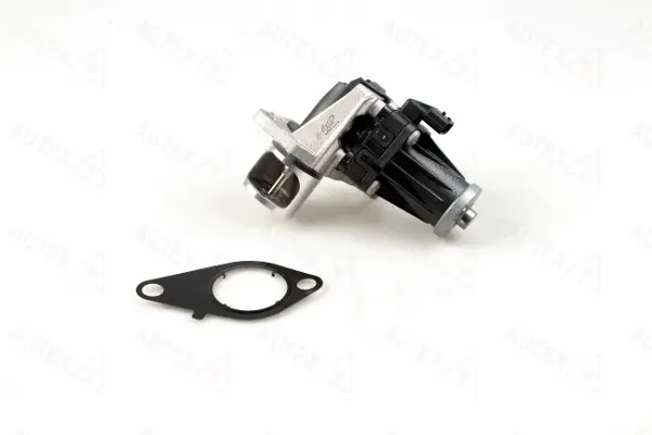 EGR Valve (959557)