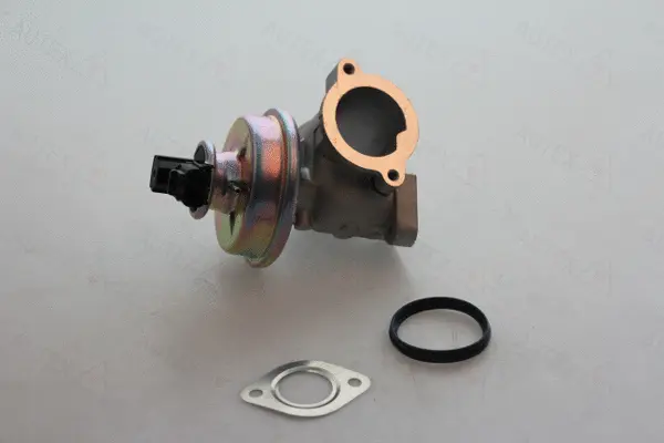 EGR Valve (959534)
