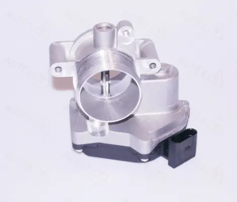 Throttle Body (961029)